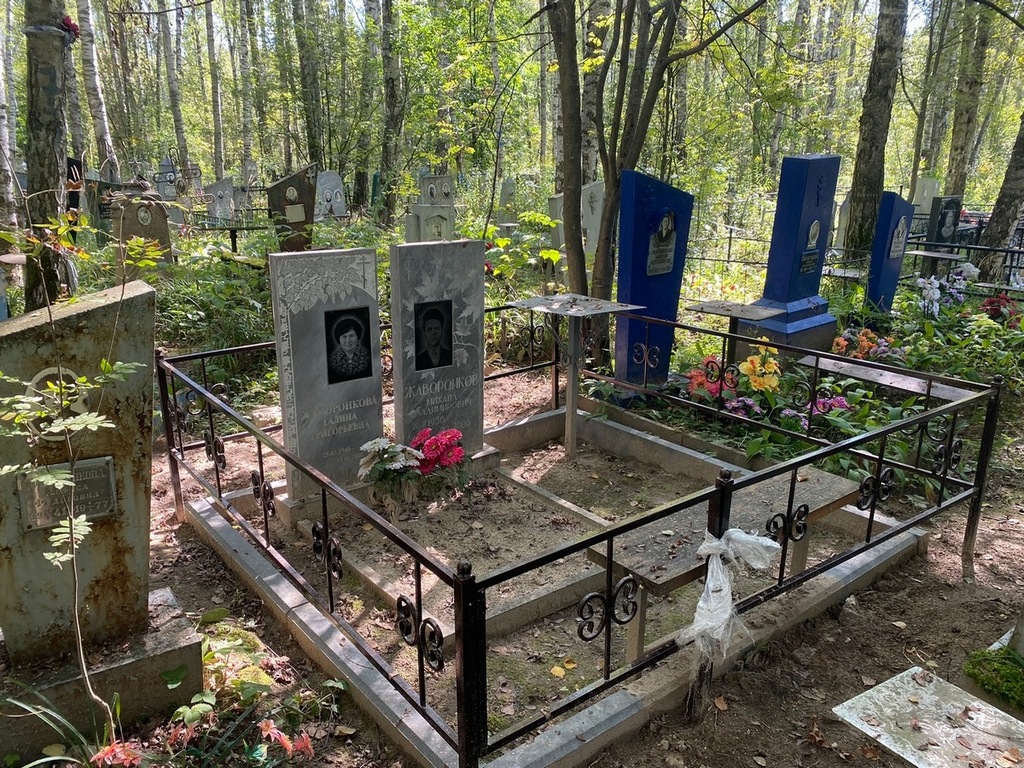 Жаворонков Михаил Владимирович