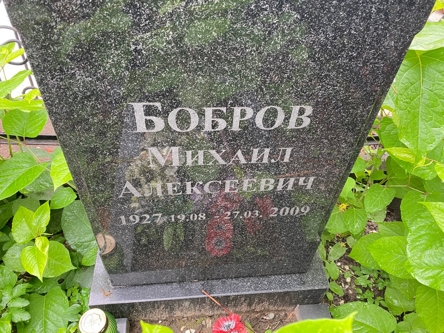 Бобров