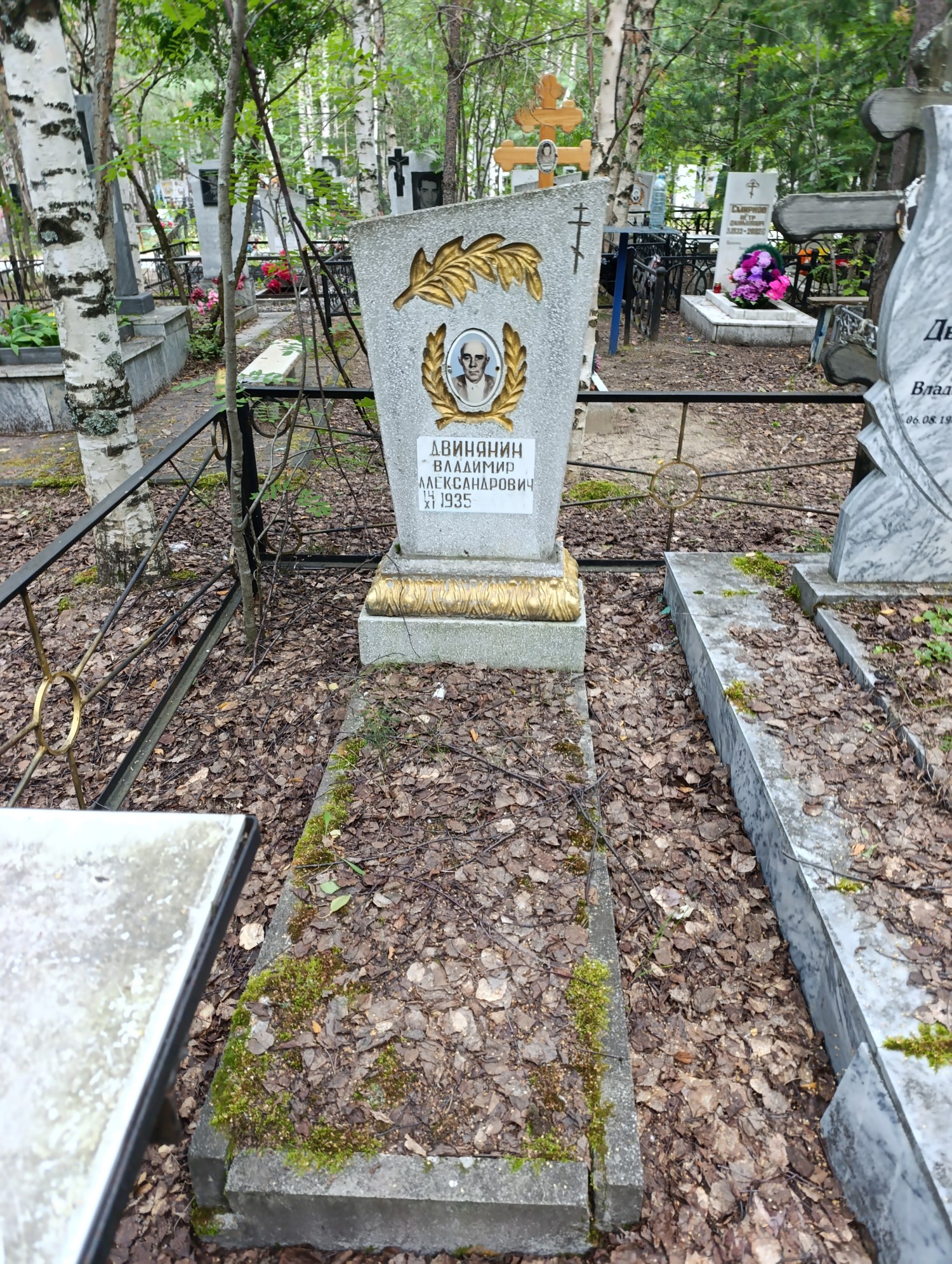 Двинянин Владимир Александрович
