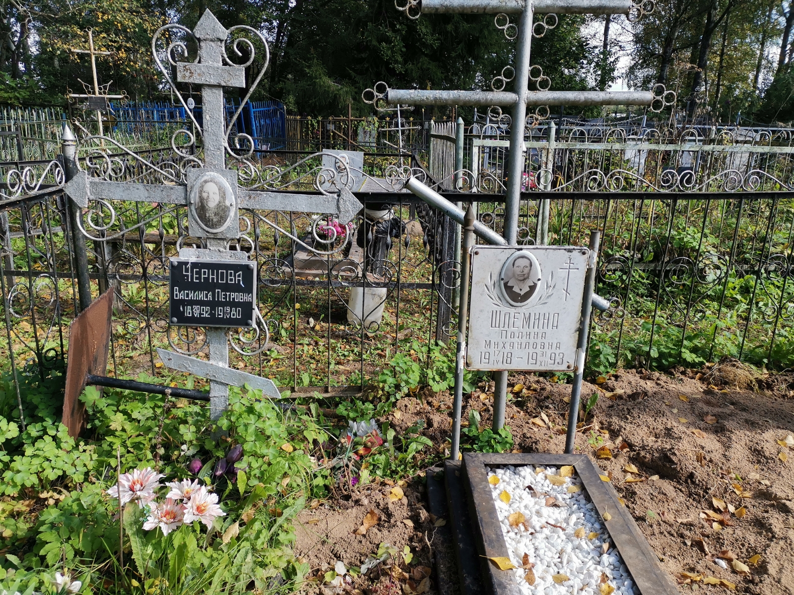 Шлёмина Полина Михайловна