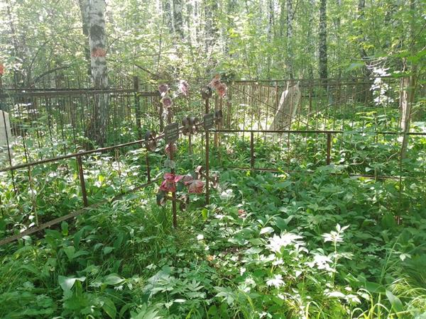 Плугунова Наталья Андреевна