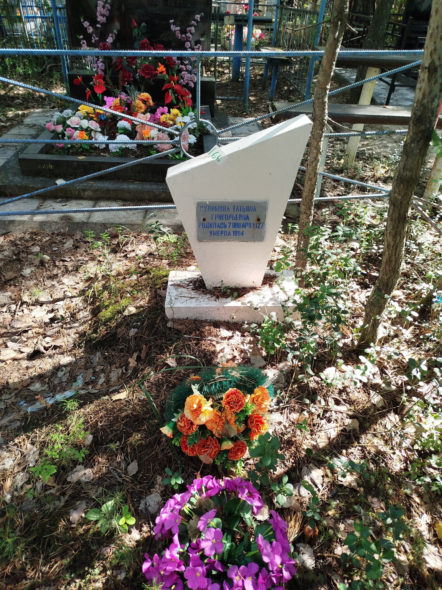 Сулимова Татьяна Григорьевна