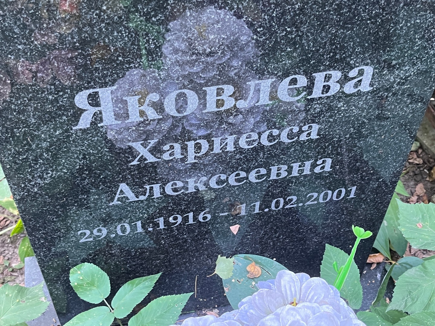 Хариесса Яковлева Алексеевна