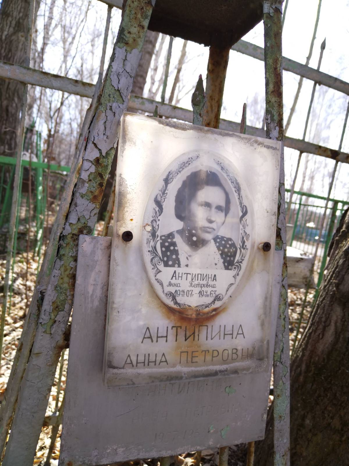 Антипина Анна Петровна