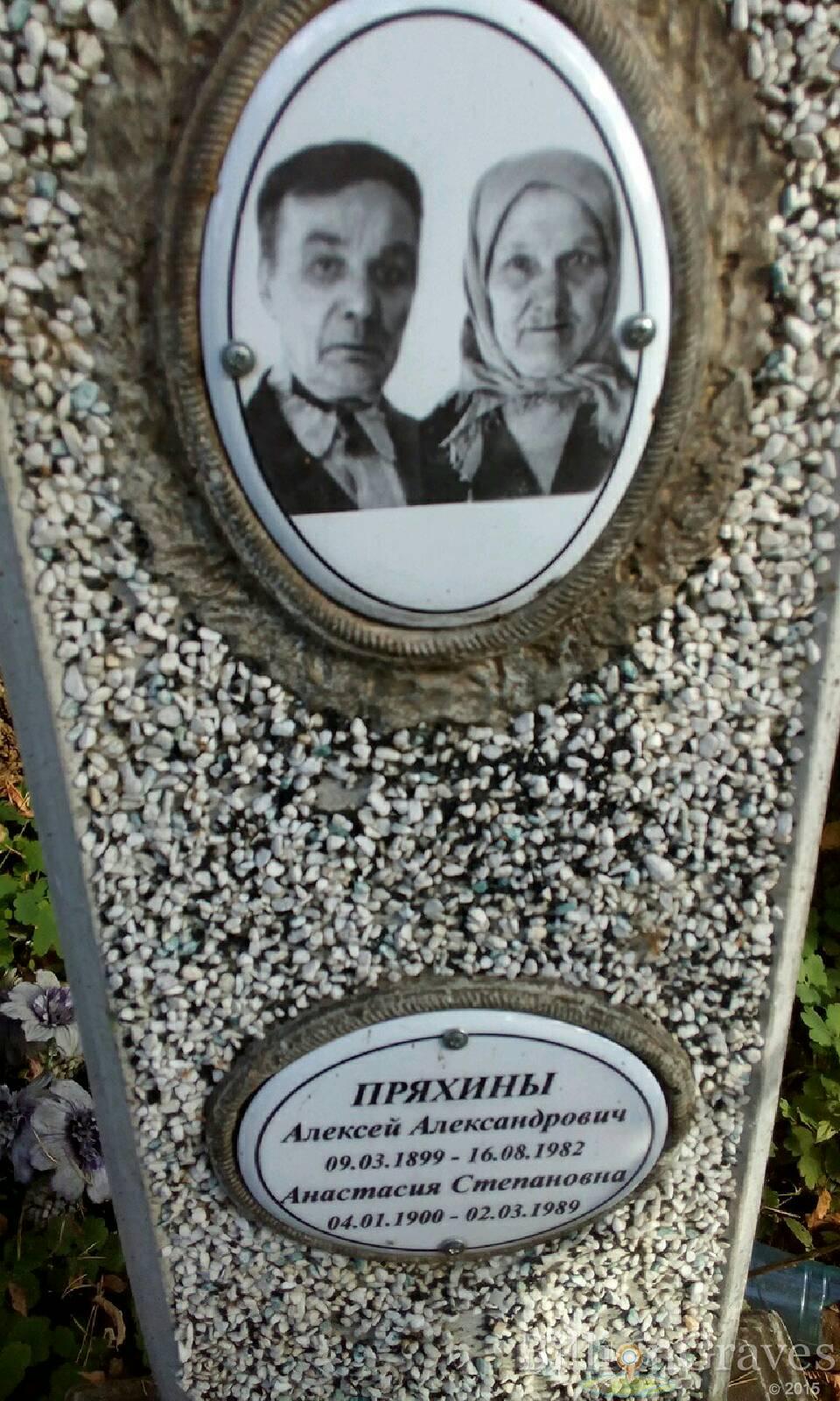 Пряхина Анастасия Степановна