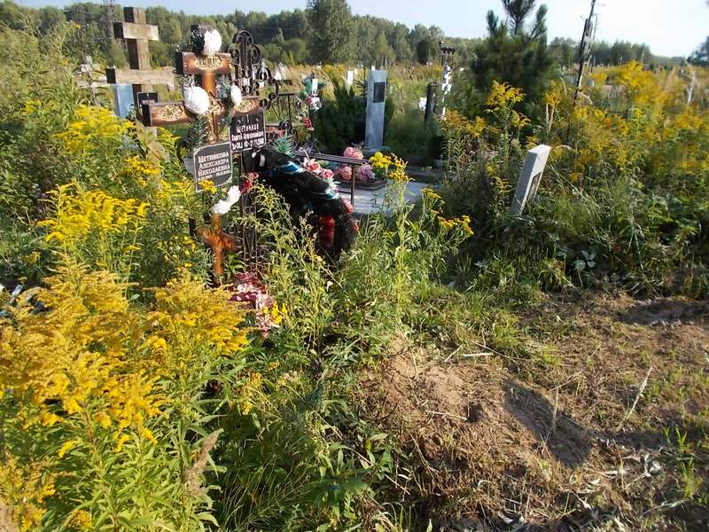 Щетникова Александра Николаевна