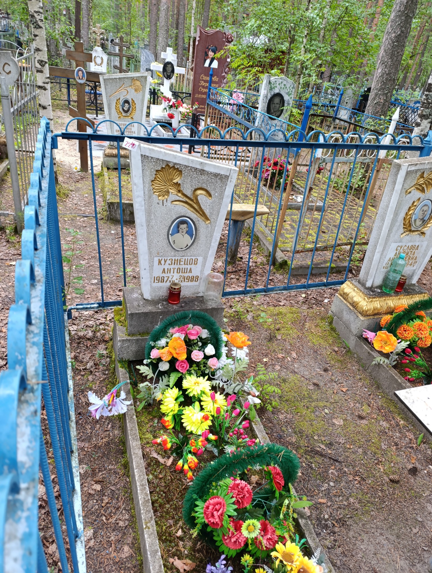 Кузнецов Антоша