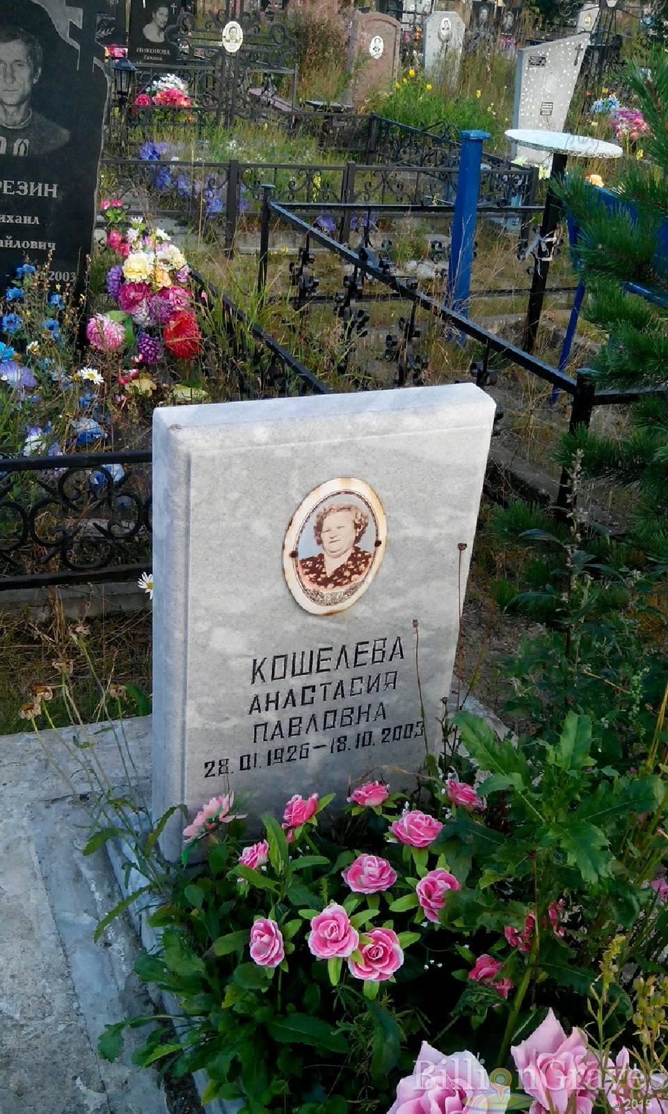 Кошелева Анастасия Павловна
