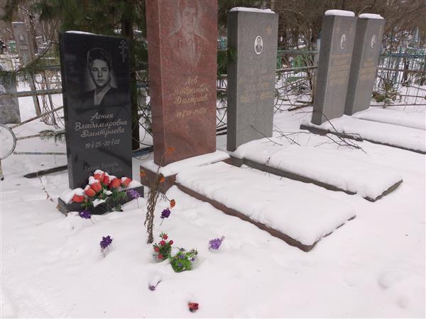 Дмитриев Владимир Александрович
