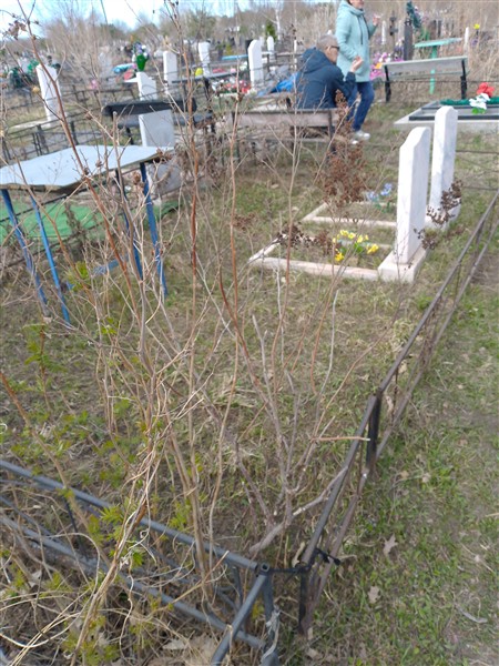Жибинов Георгий Глебович