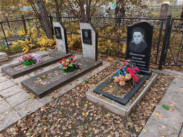 Почекутов Дмитрий Александрович