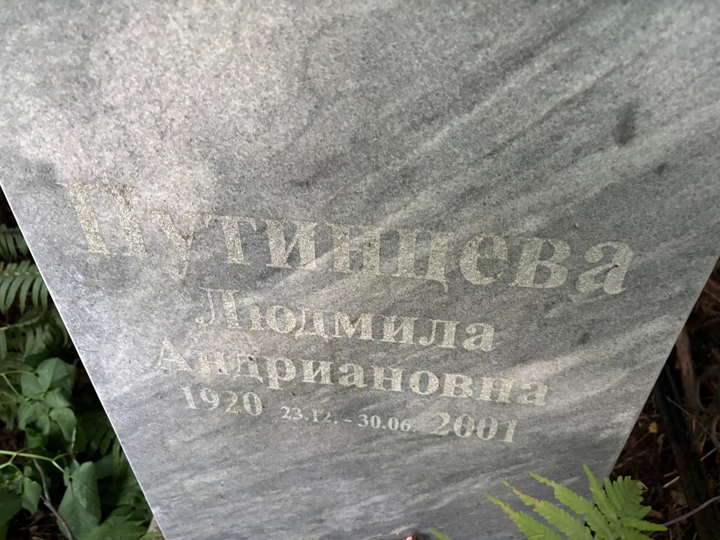 Путинцева