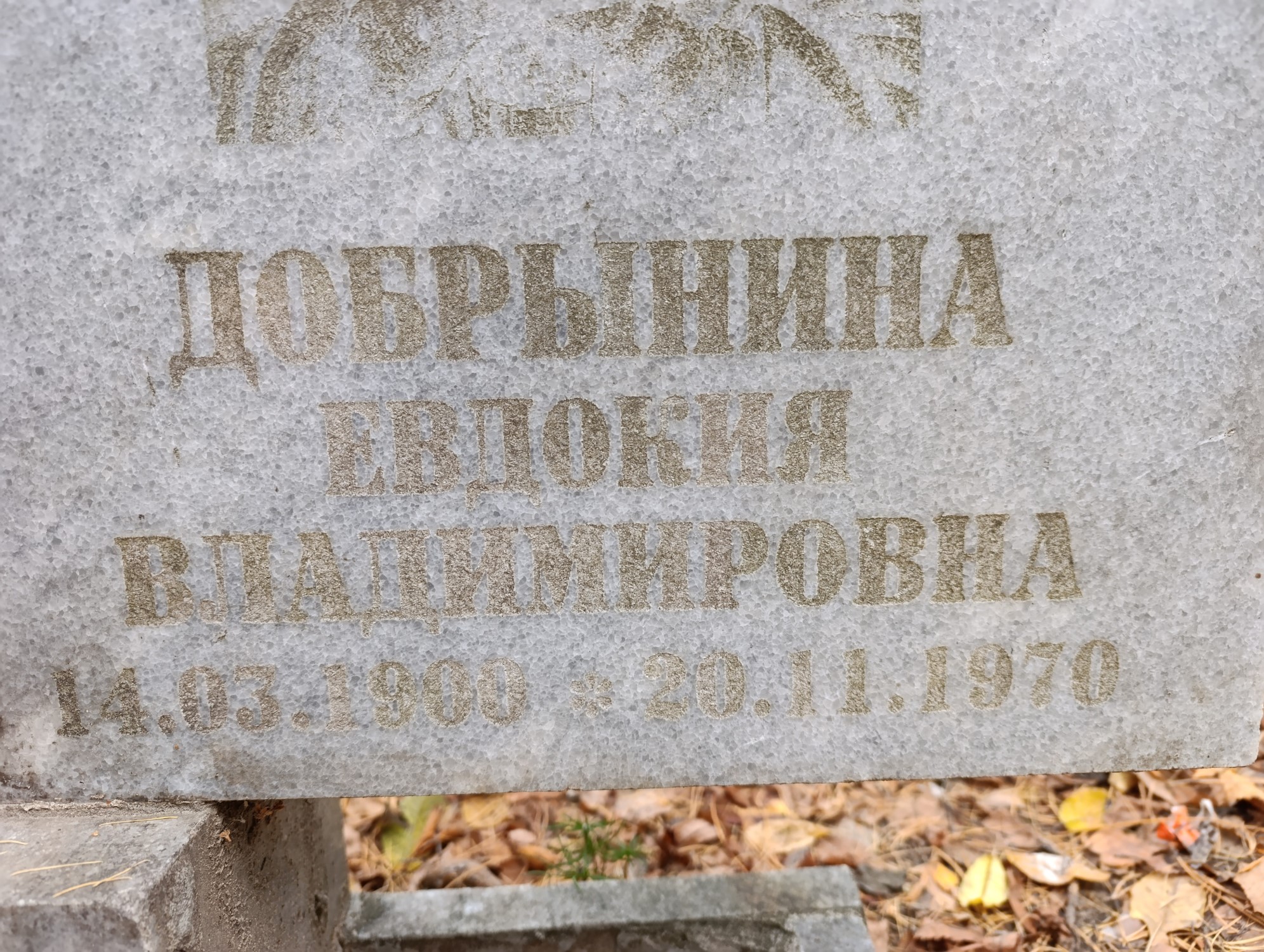 Добрынина Евдокия Владимировна