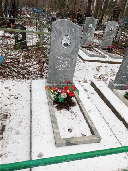 Шалгин Юрий Георгиевич