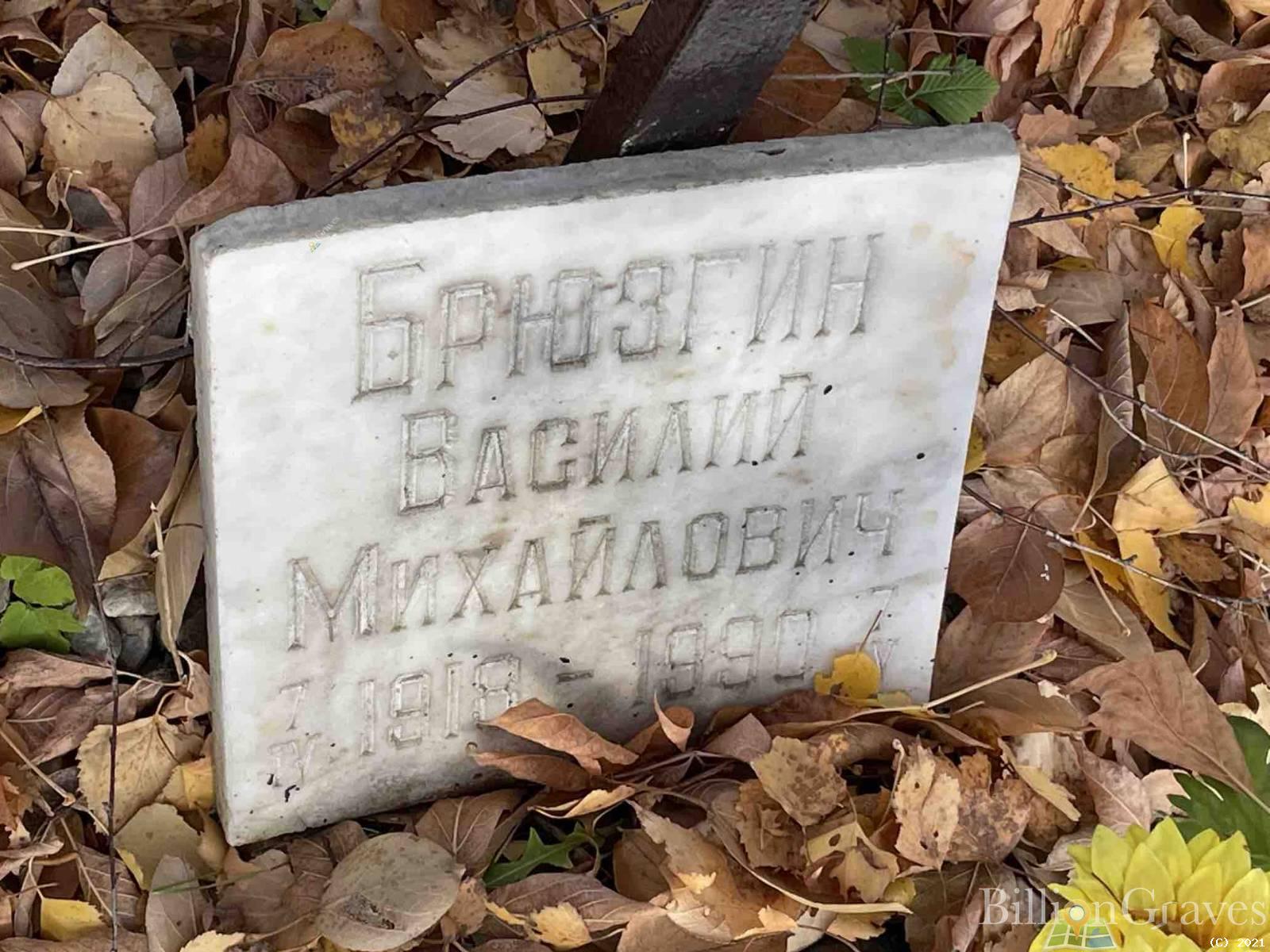Брюзгин Василий Михайлович