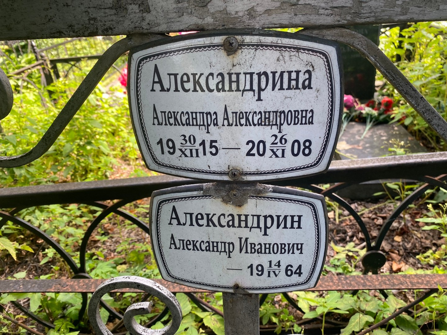 Александрина Александра Александровна