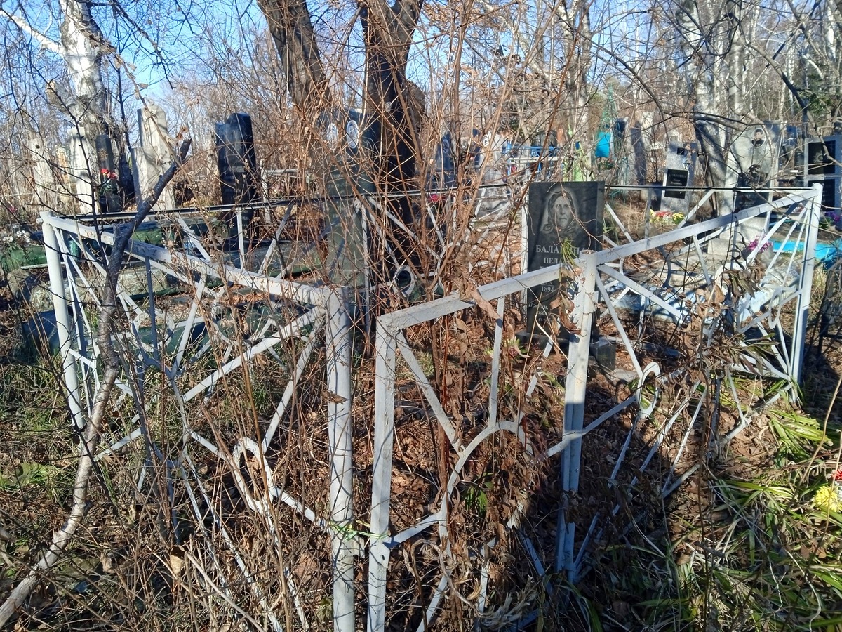 Балакина Пелагея Ефимовна