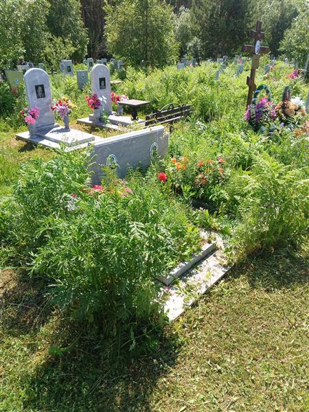 Павловна Павловна