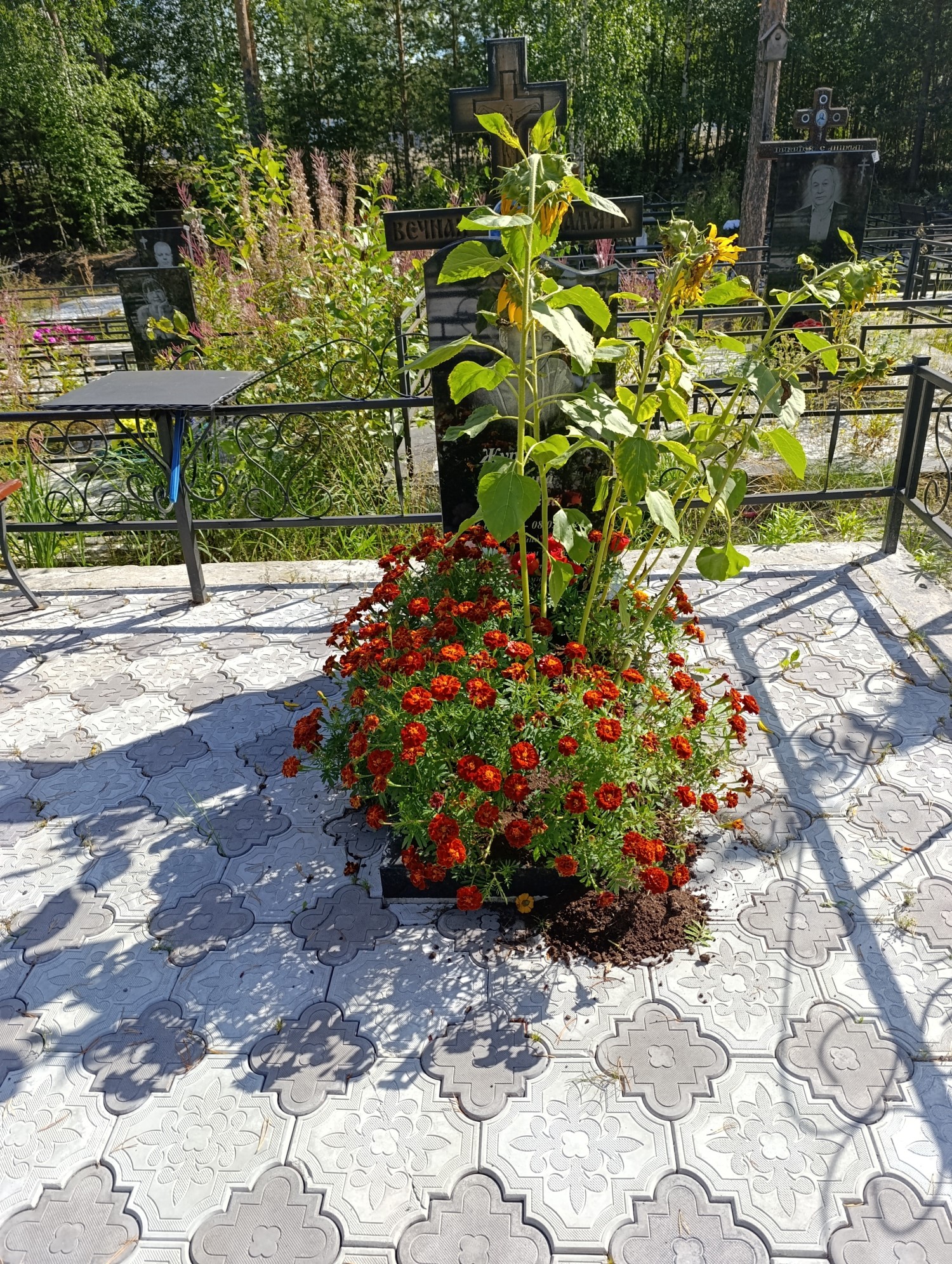 Журавель Марина Ивановна