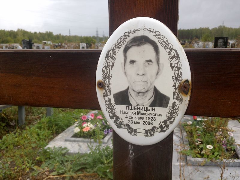 Пшеницын