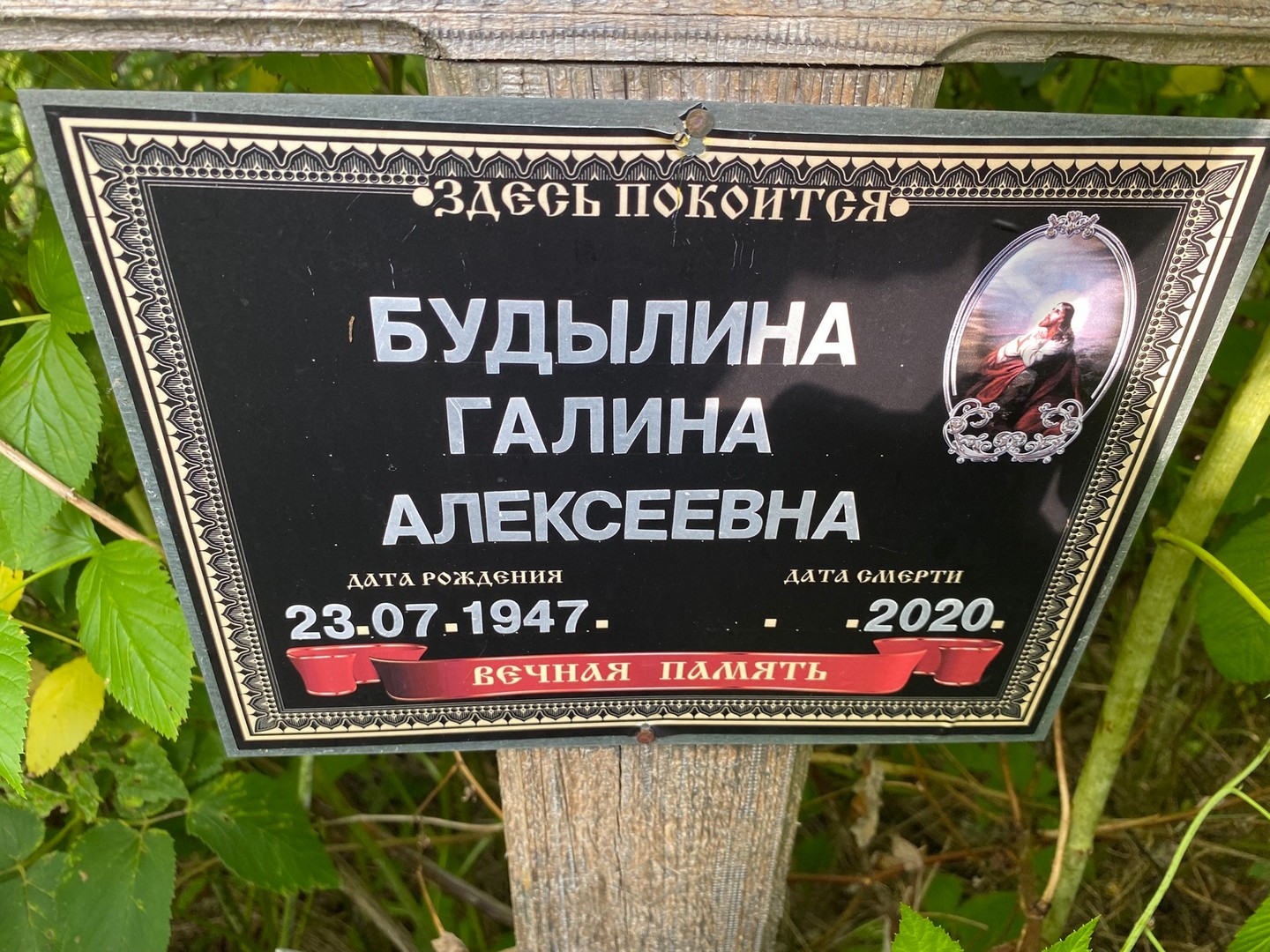 Будылина