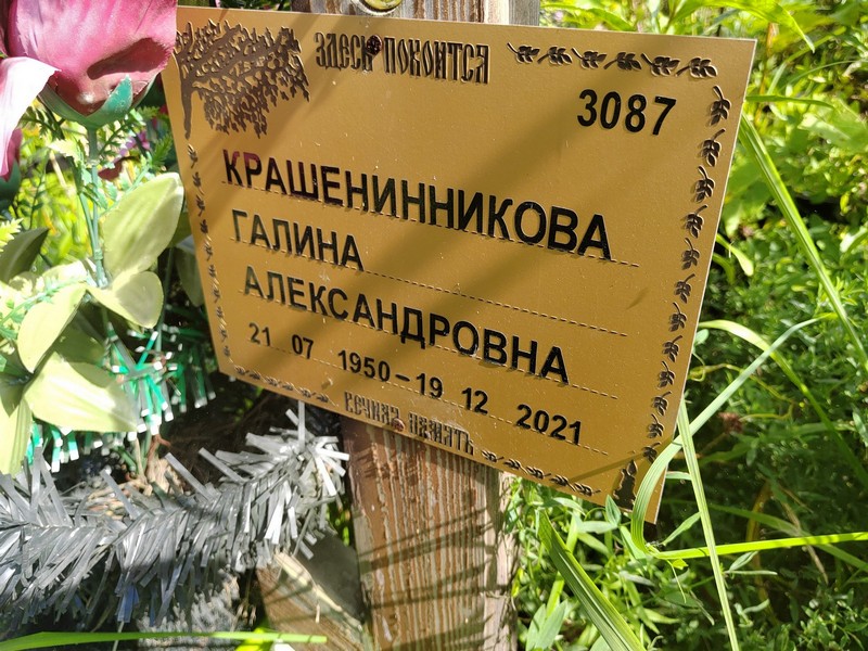 Крашенинникова