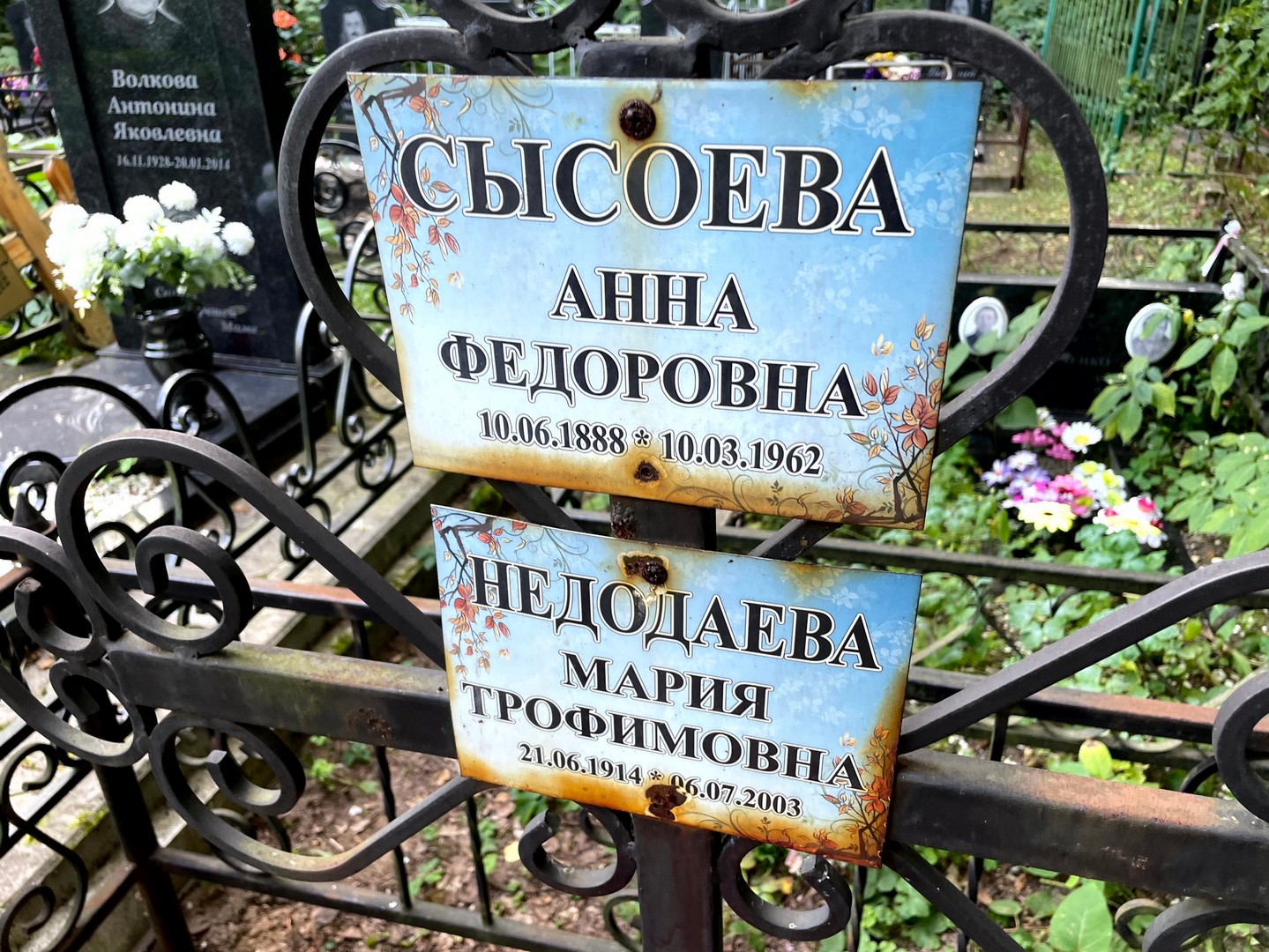 Сысоева