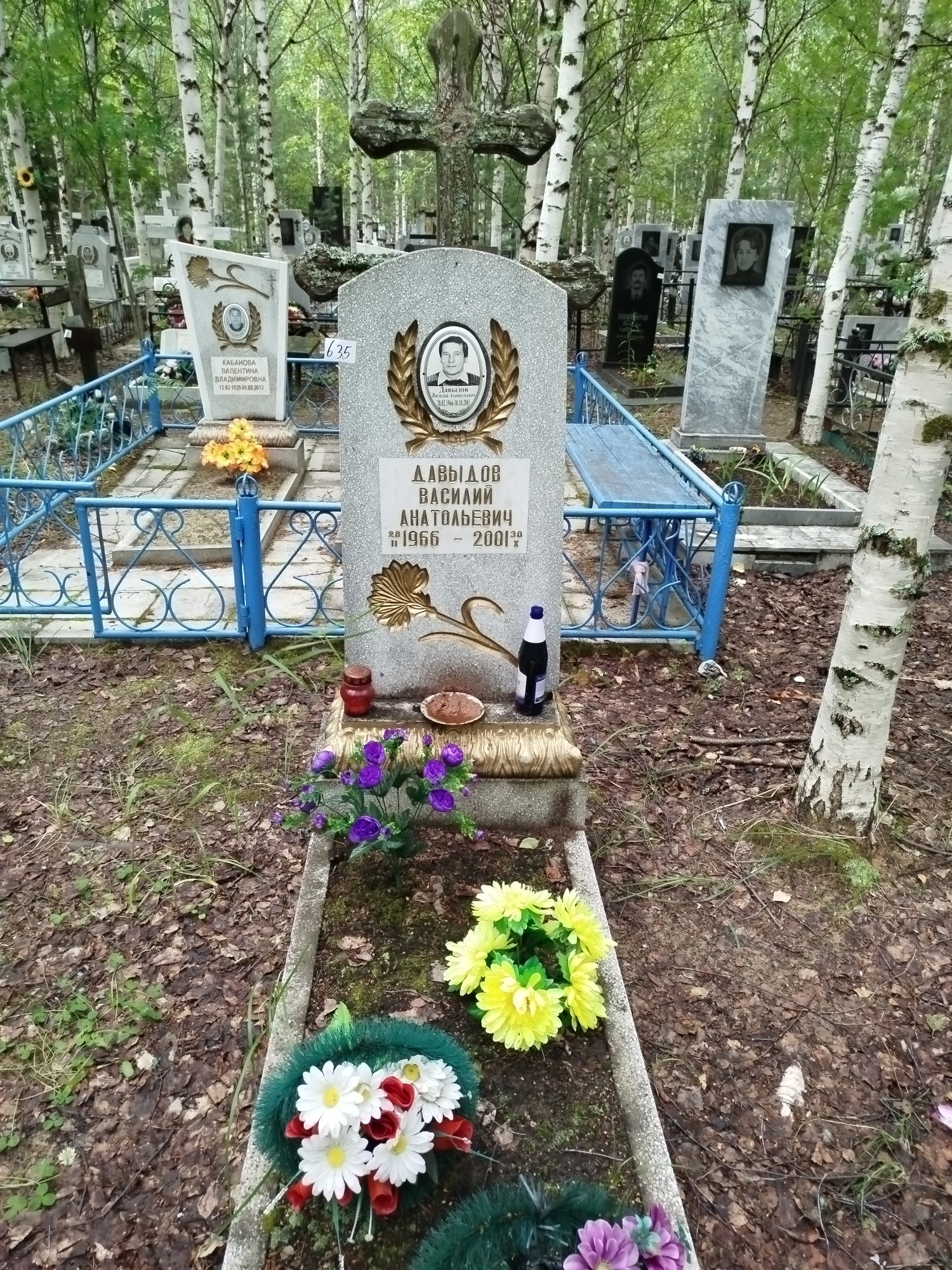 Давыдов Василий Анатольевич