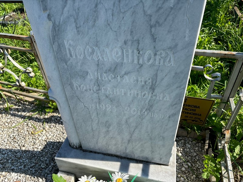 Косаленкова Анастасия Константиновна