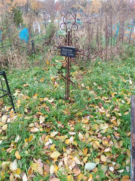Карелин Александр Егорович
