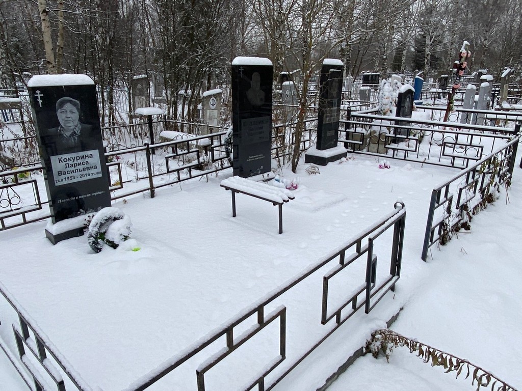 Шапошников Василий Иванович