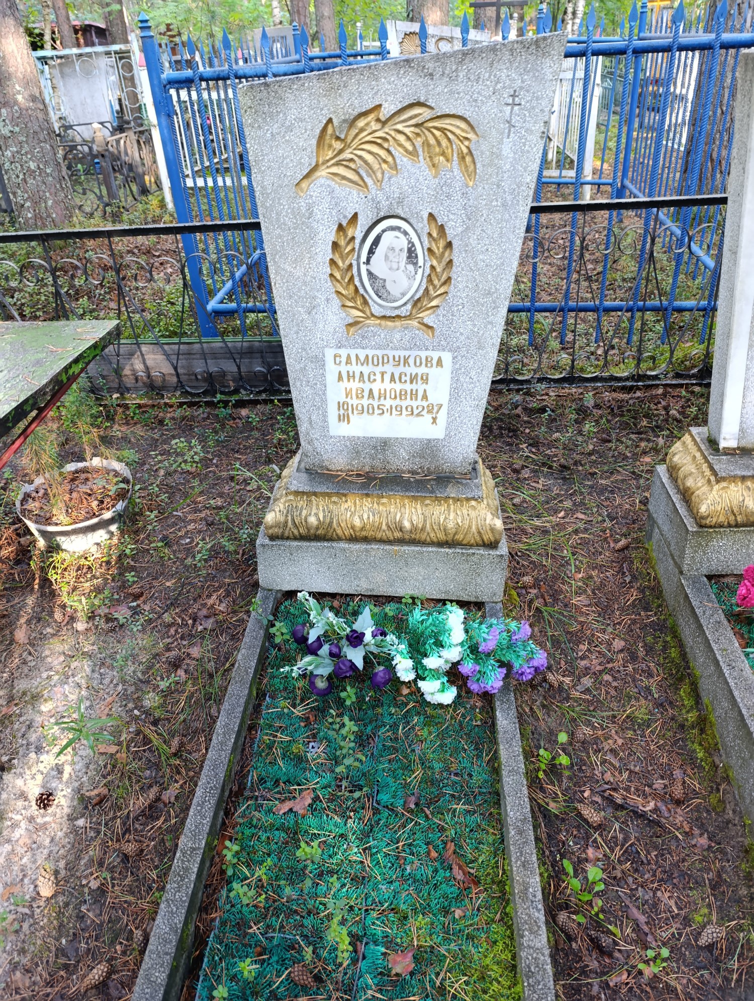 Саморукова Анастасия Ивановна