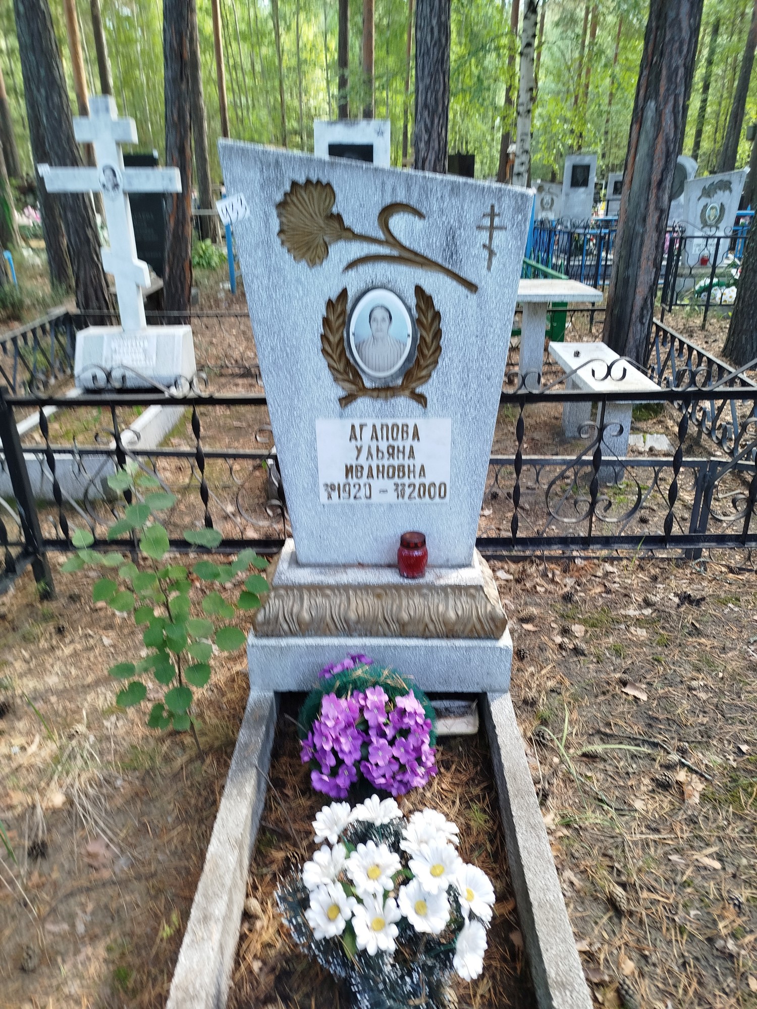 Агапова Ульяна Ивановна