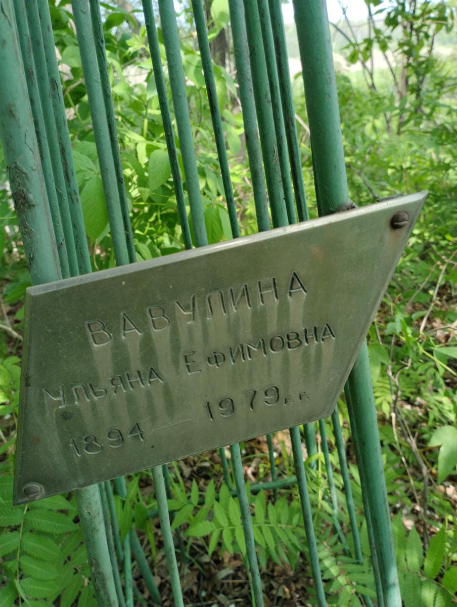 Вавулина Ульяна Ефимовна