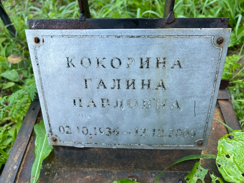 Кокорина