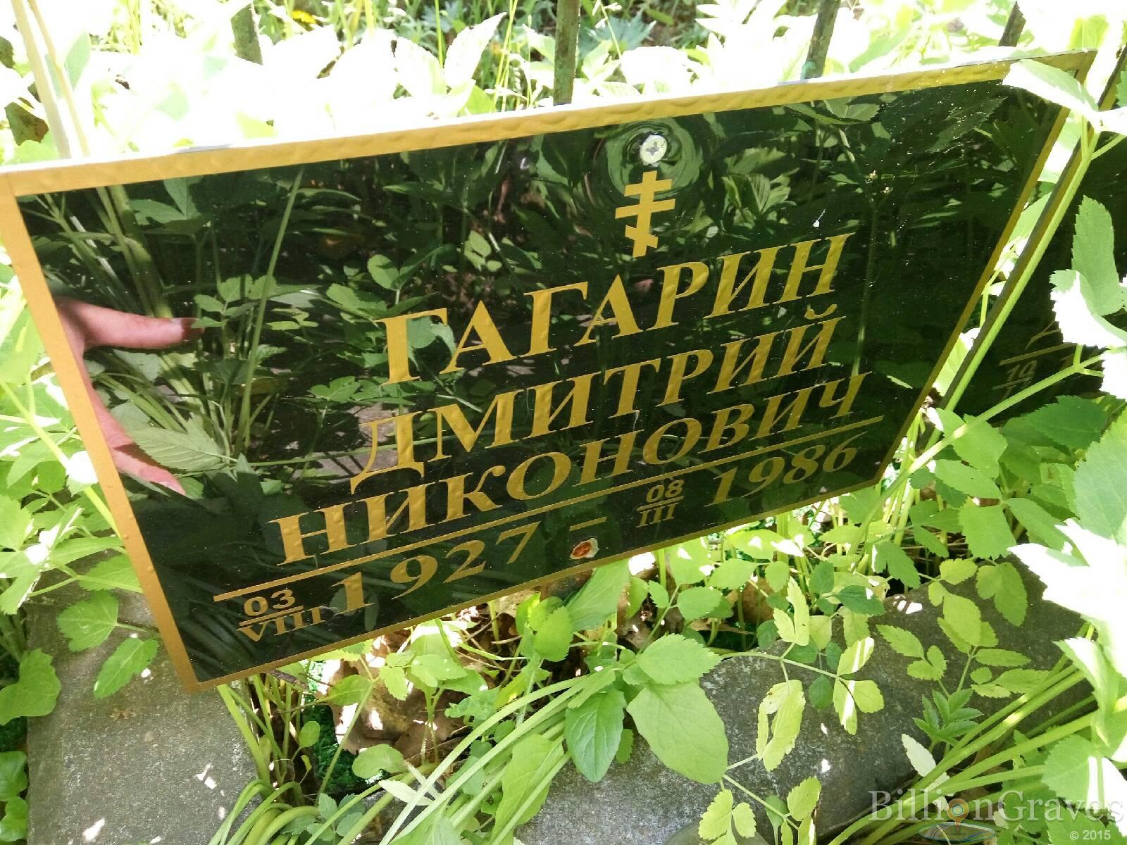 Гагарин Дмитрий Никонович