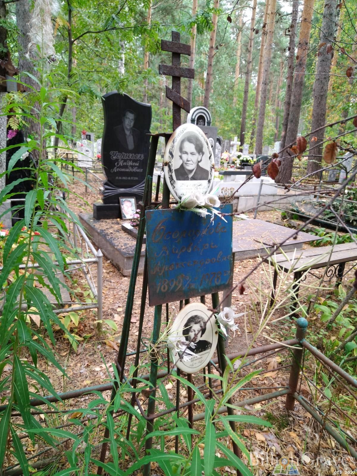 Косцова Анастасия Петровна