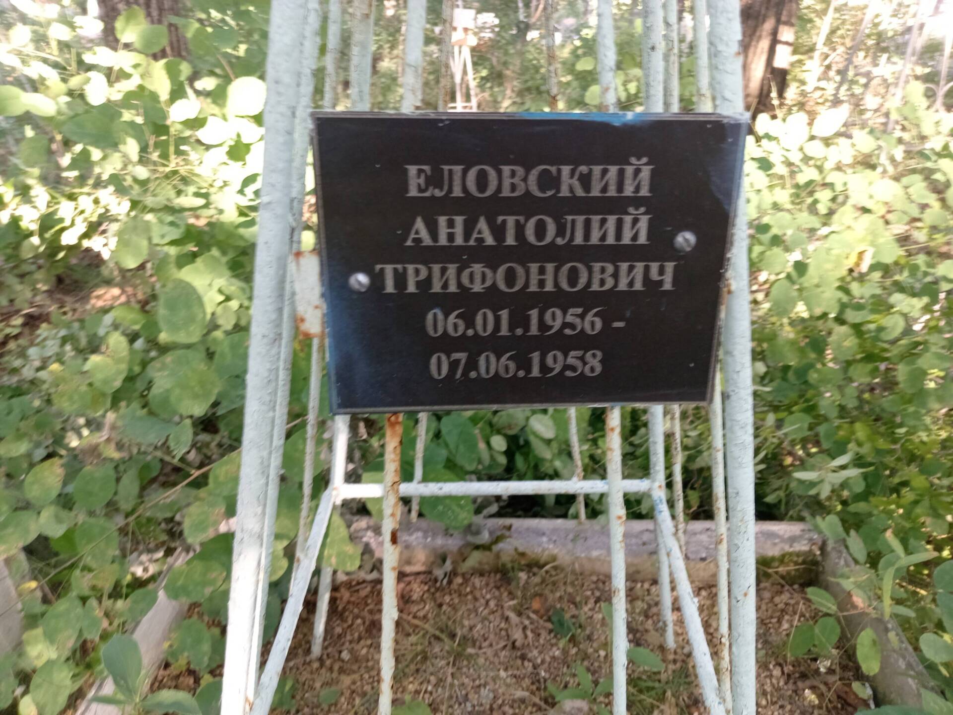 Еловский Анатолий Трифонович
