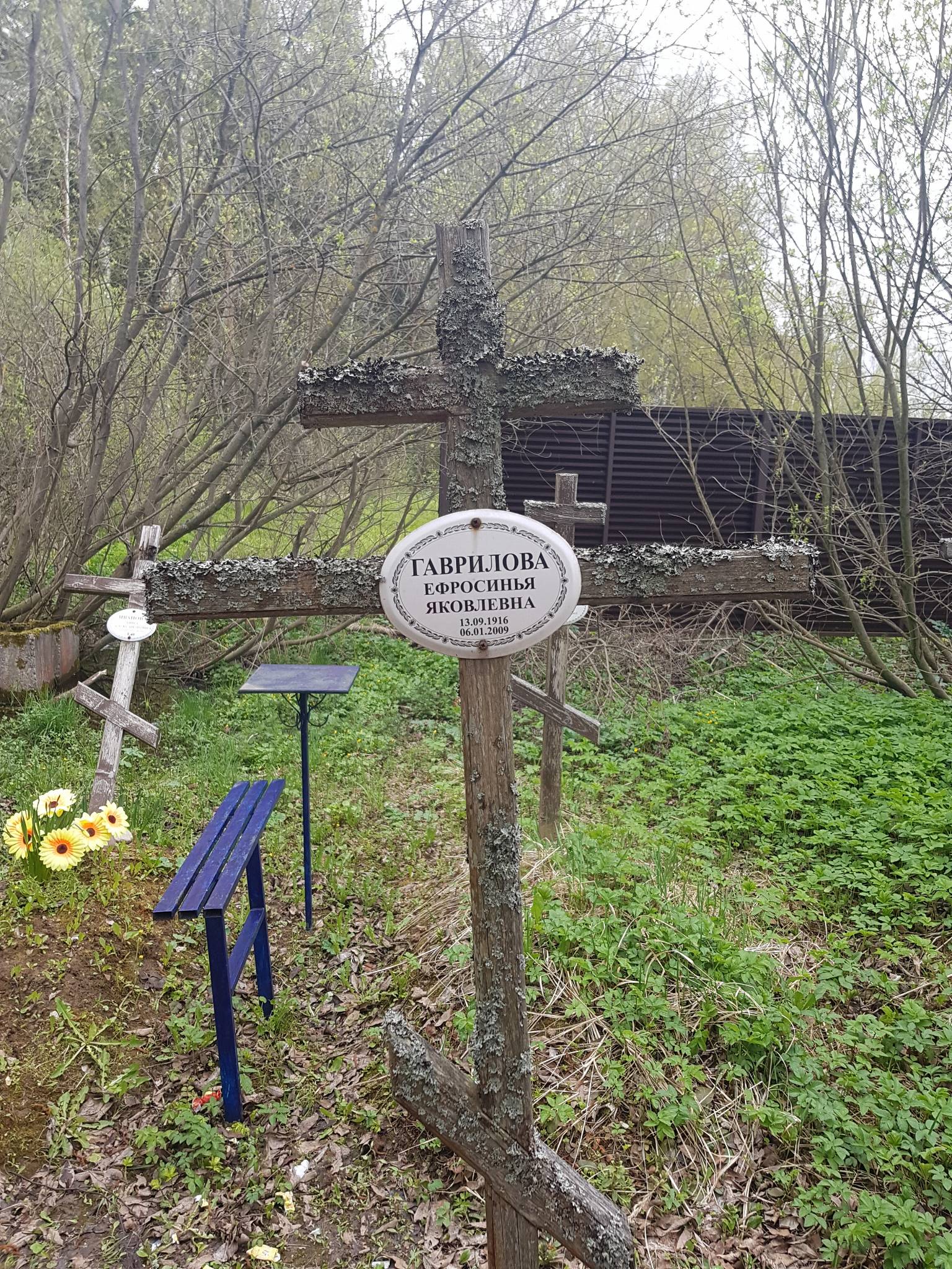 Гаврилова Ефросинья Яковлевна
