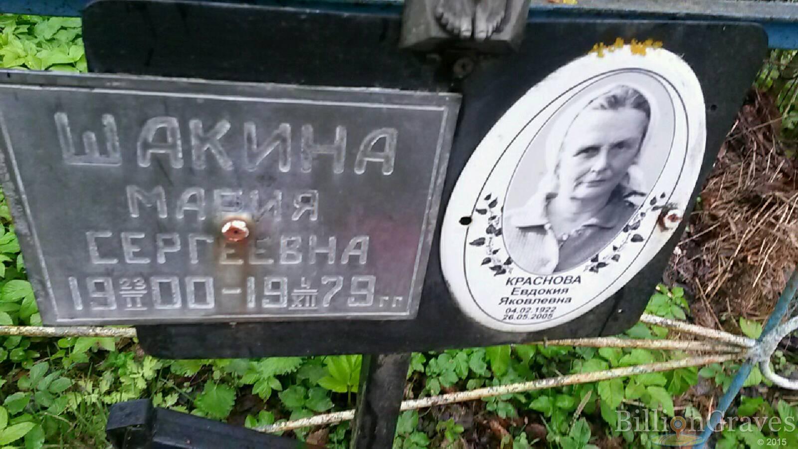 шакина мария сергеевна