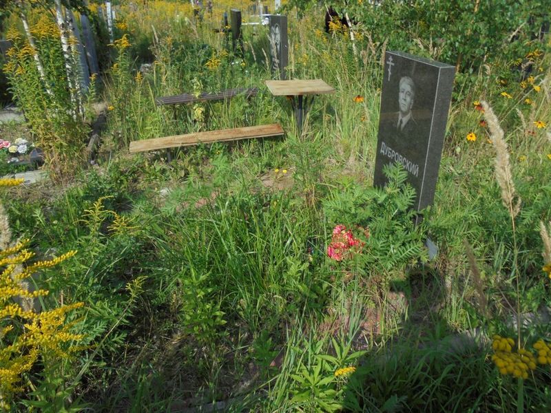 Дубровский Михаил Петрович