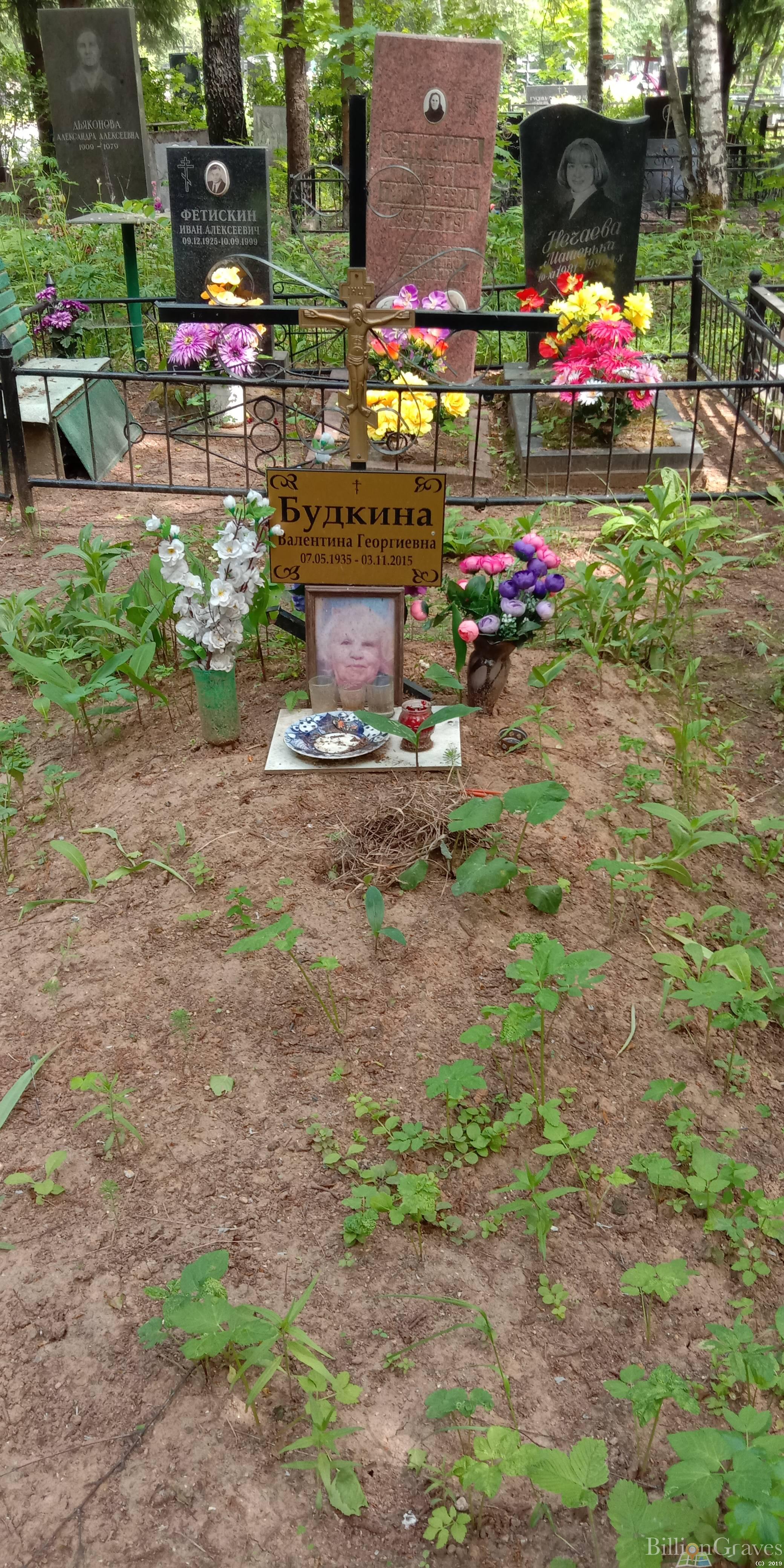 Будкина Валентина Георгиевна