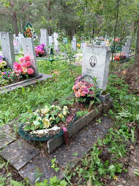 Новиков Николай Григорьевич