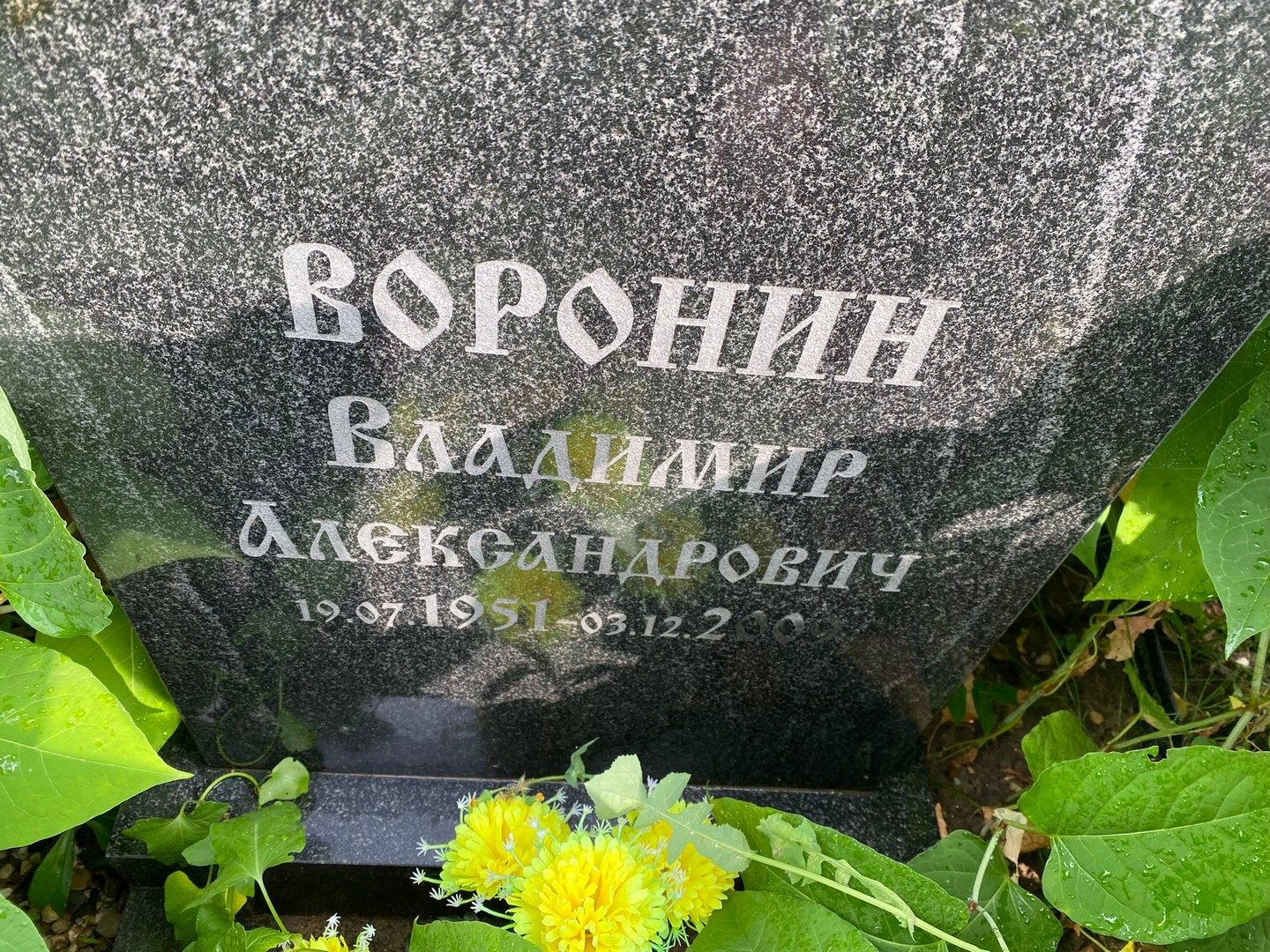 Воронин