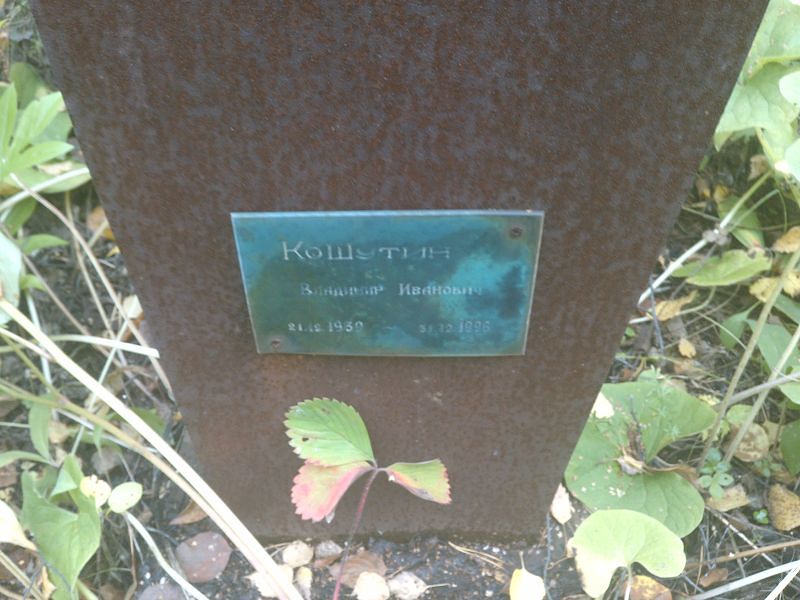 Кошутин