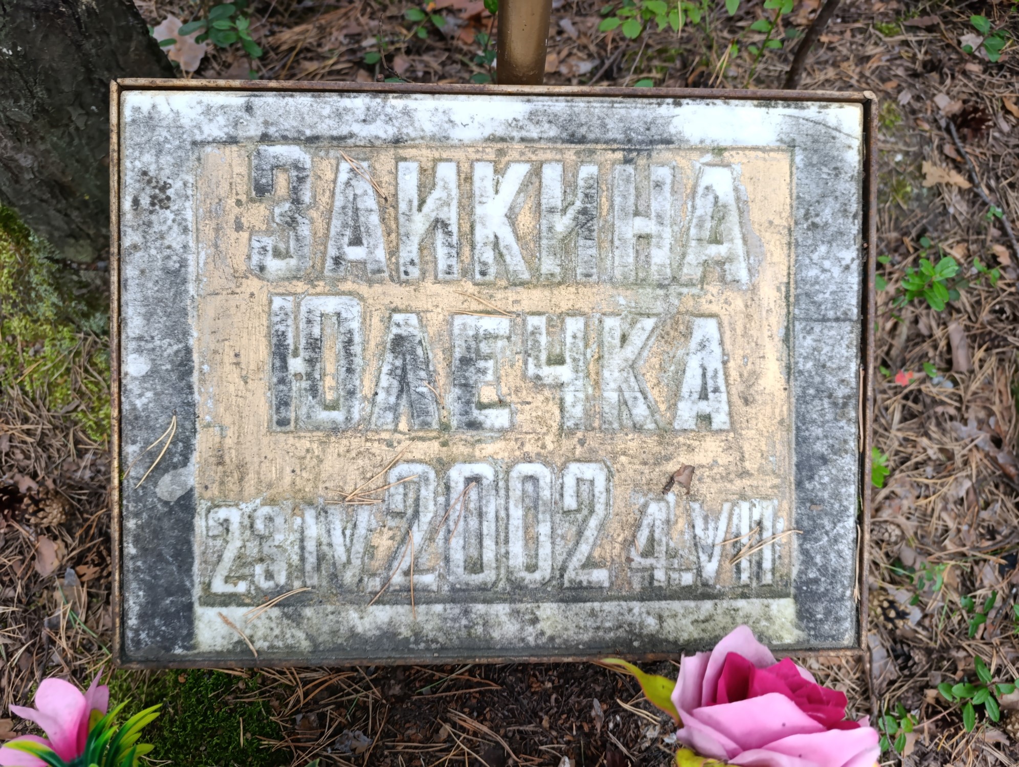 Зайкина Юлечка
