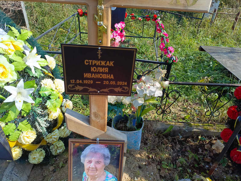 Стрижак