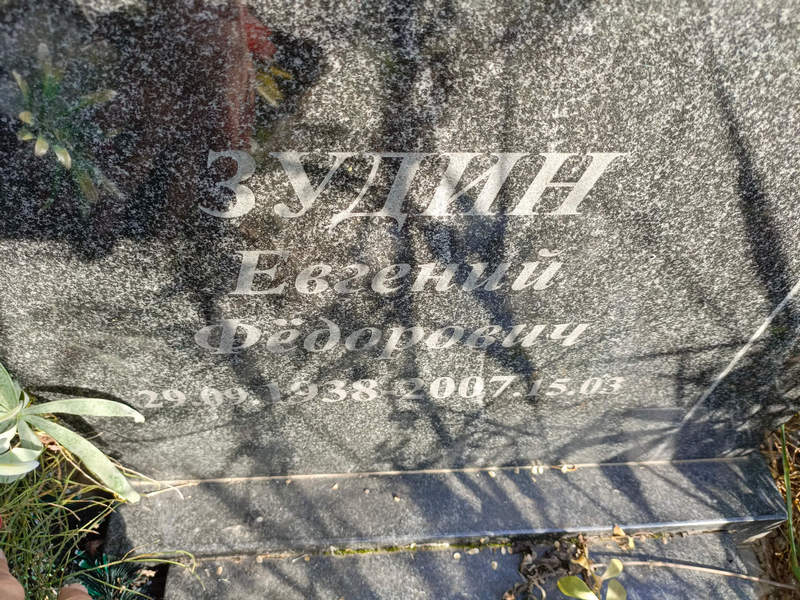 Зудин