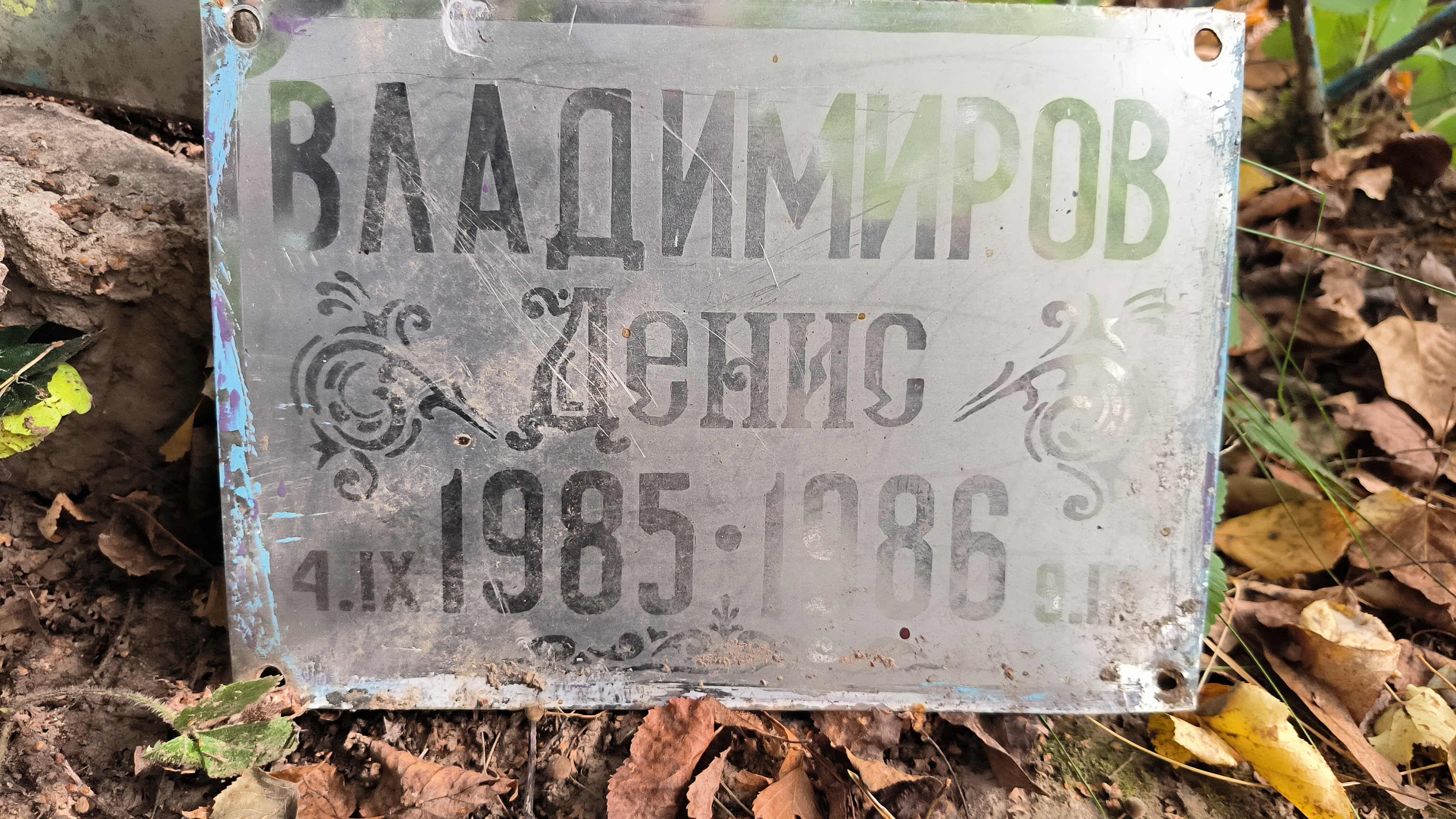 Владимиров Денис