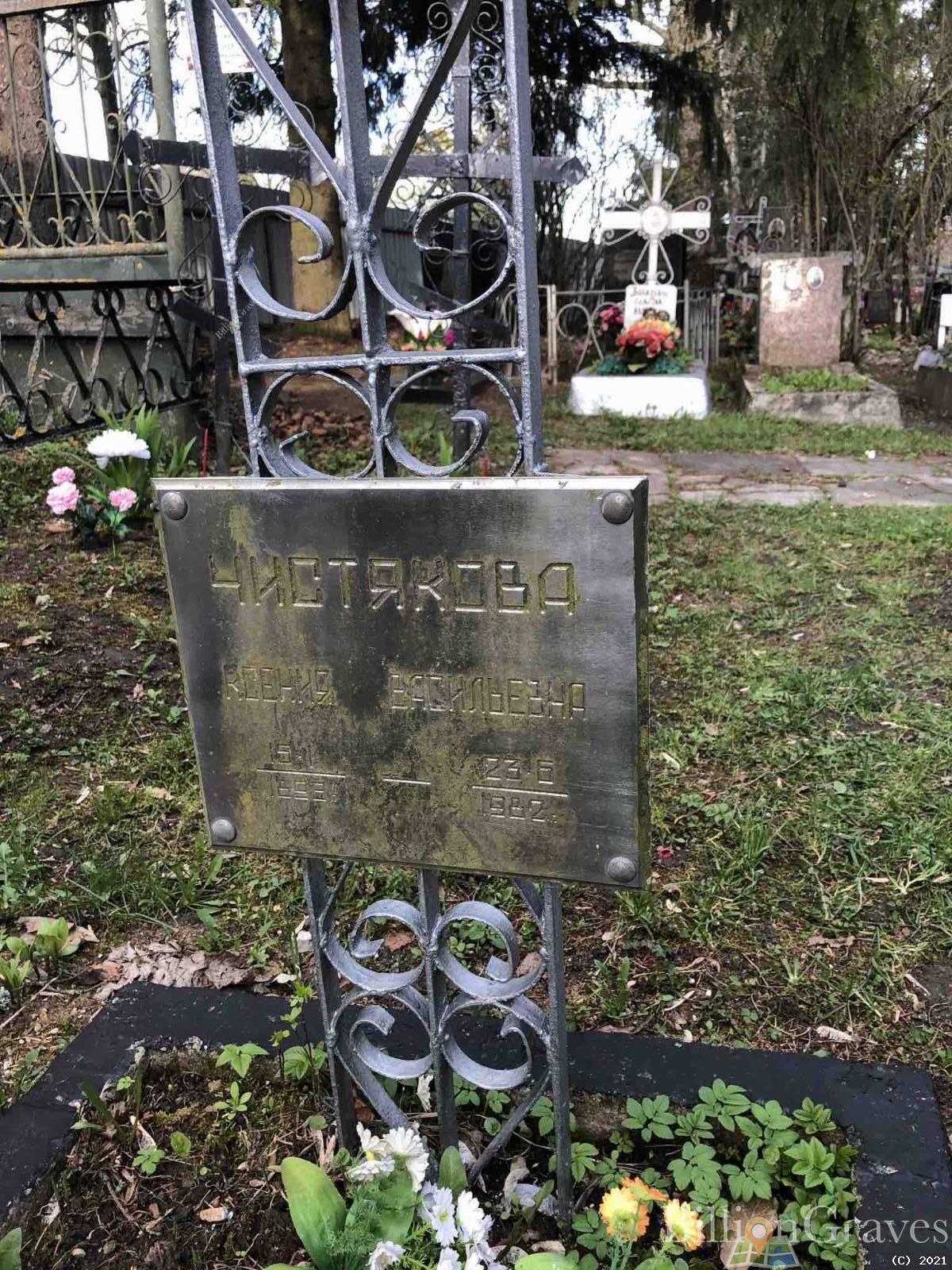 Чистякова Ксения Васильевна